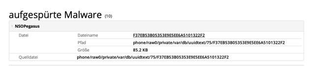 Screenshot aus einer Untersuchung, wo der Trojaner Pegasus in Verzeichnissen auf einem Handy gefunden wurde