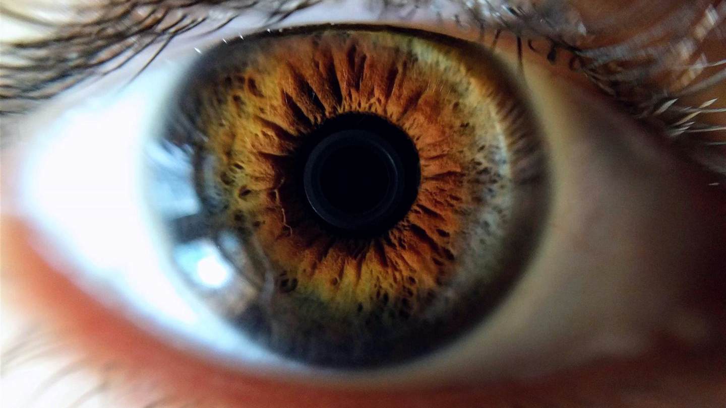 Nahaufnahmefoto Des Menschlichen Auges